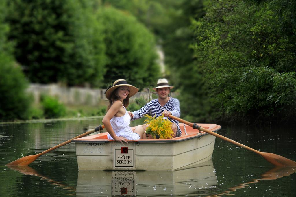 Cote-Serein - Domaine De Venoise นัวเยร์ส-ซูร์-เซอไรน์ ภายนอก รูปภาพ